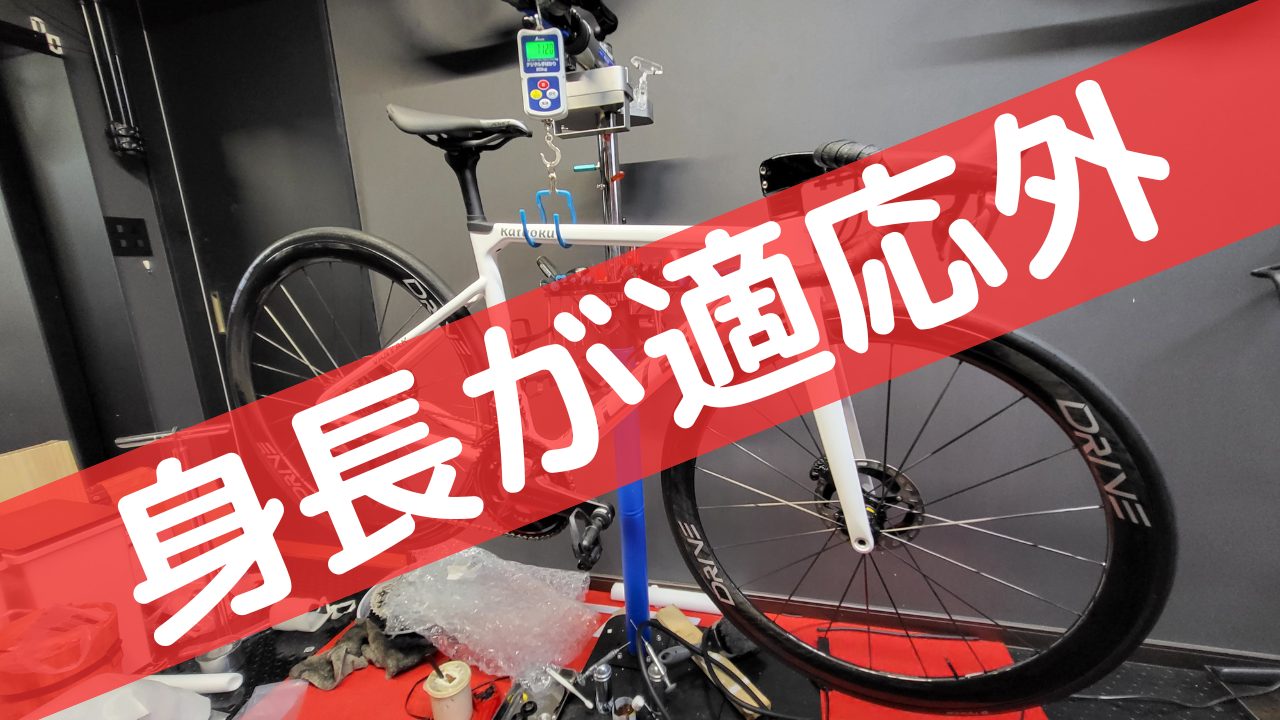 ロードバイクフレーム ELVES サイズ48 М